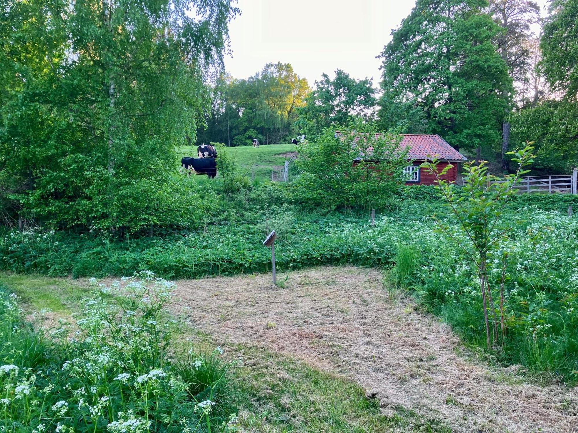 Lidhem Herrgard. Bed & Breakfast Och Mindre Lagenheter Vimmerby Dış mekan fotoğraf