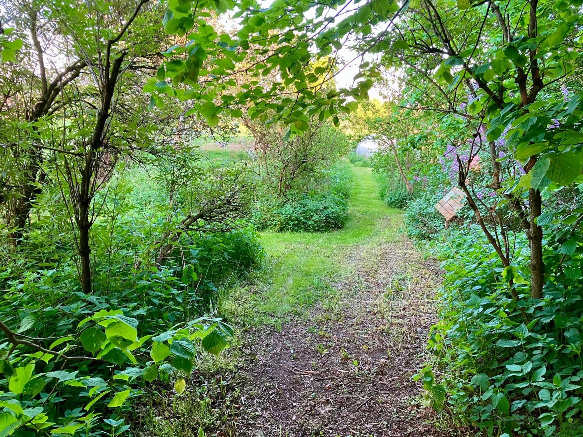 Lidhem Herrgard. Bed & Breakfast Och Mindre Lagenheter Vimmerby Dış mekan fotoğraf