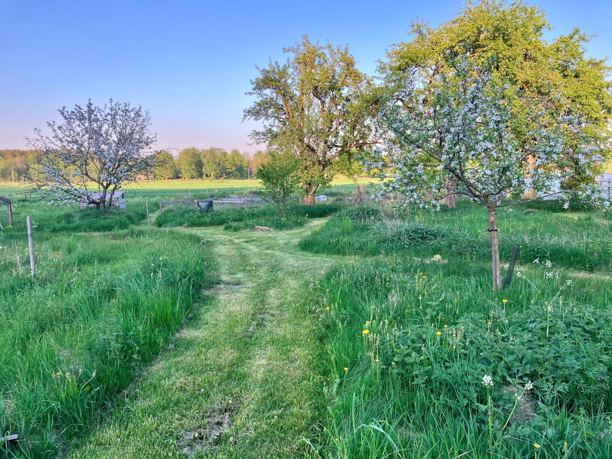 Lidhem Herrgard. Bed & Breakfast Och Mindre Lagenheter Vimmerby Dış mekan fotoğraf