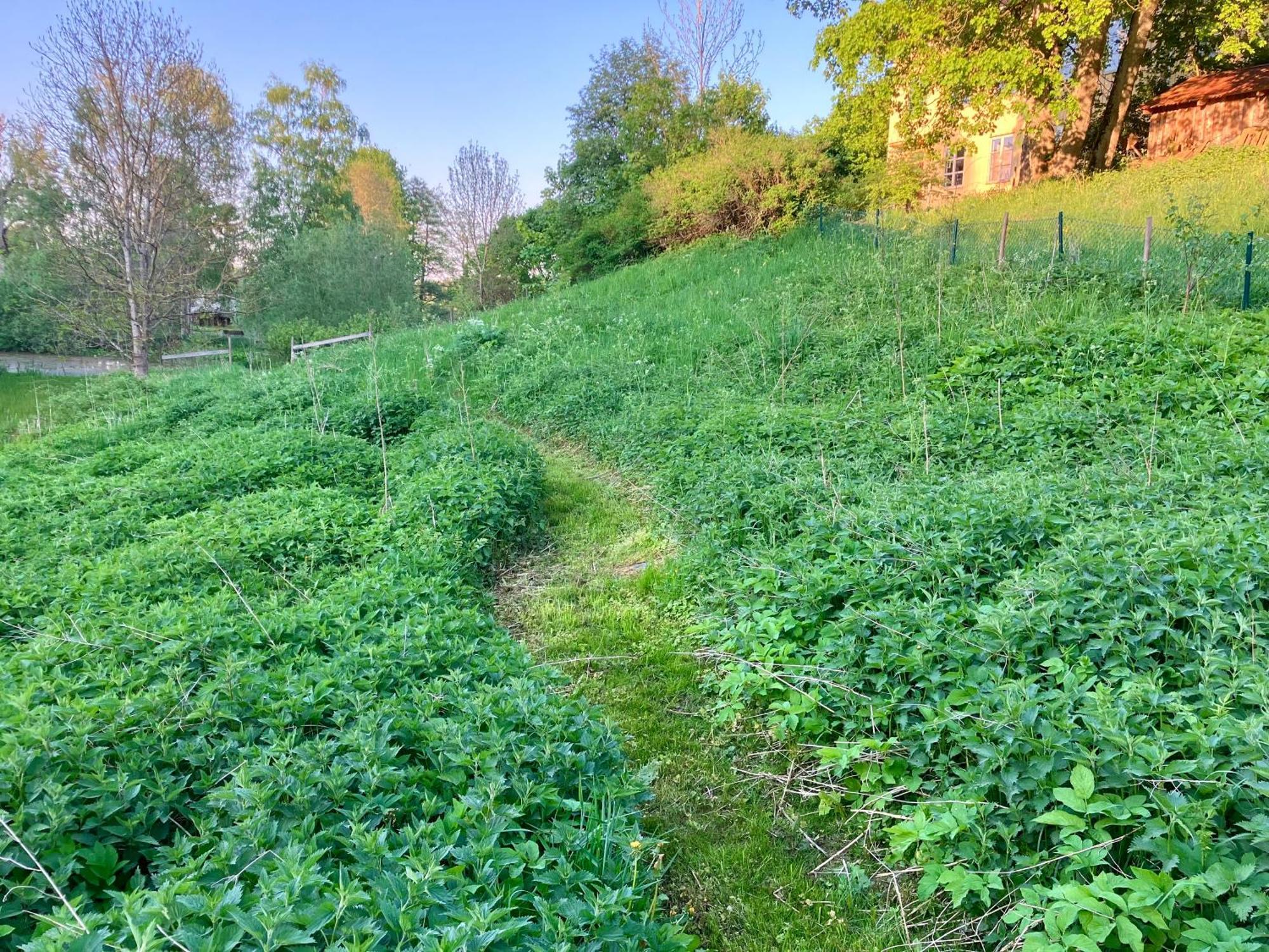 Lidhem Herrgard. Bed & Breakfast Och Mindre Laegenheter Vimmerby Dış mekan fotoğraf
