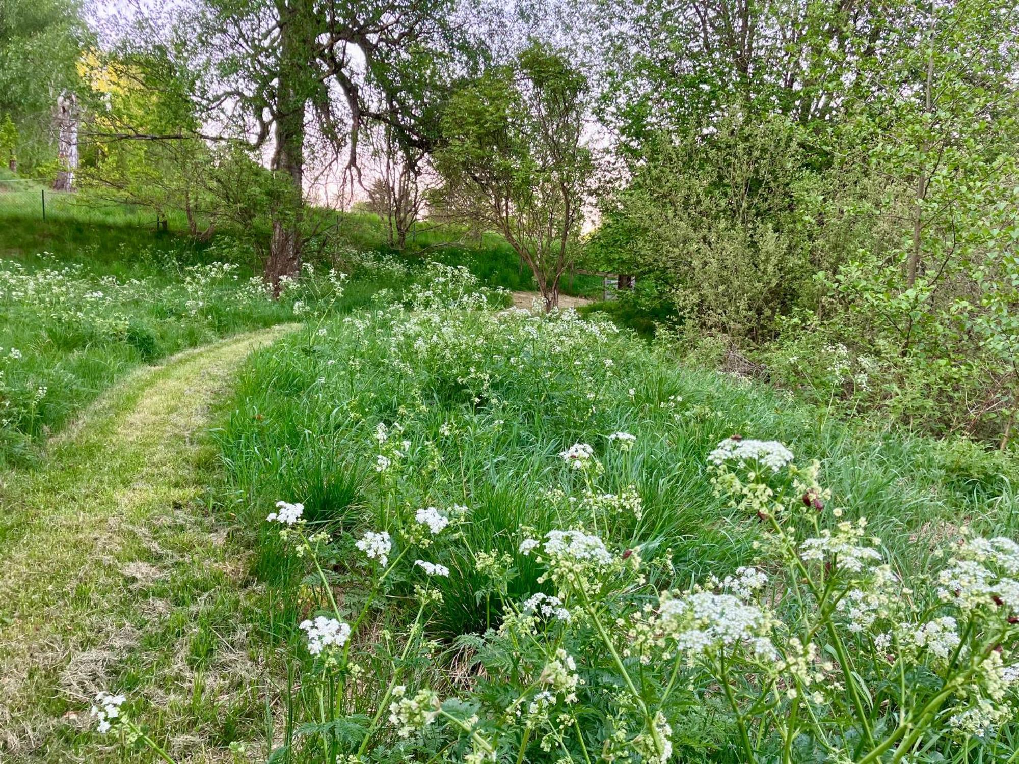 Lidhem Herrgard. Bed & Breakfast Och Mindre Lagenheter Vimmerby Dış mekan fotoğraf