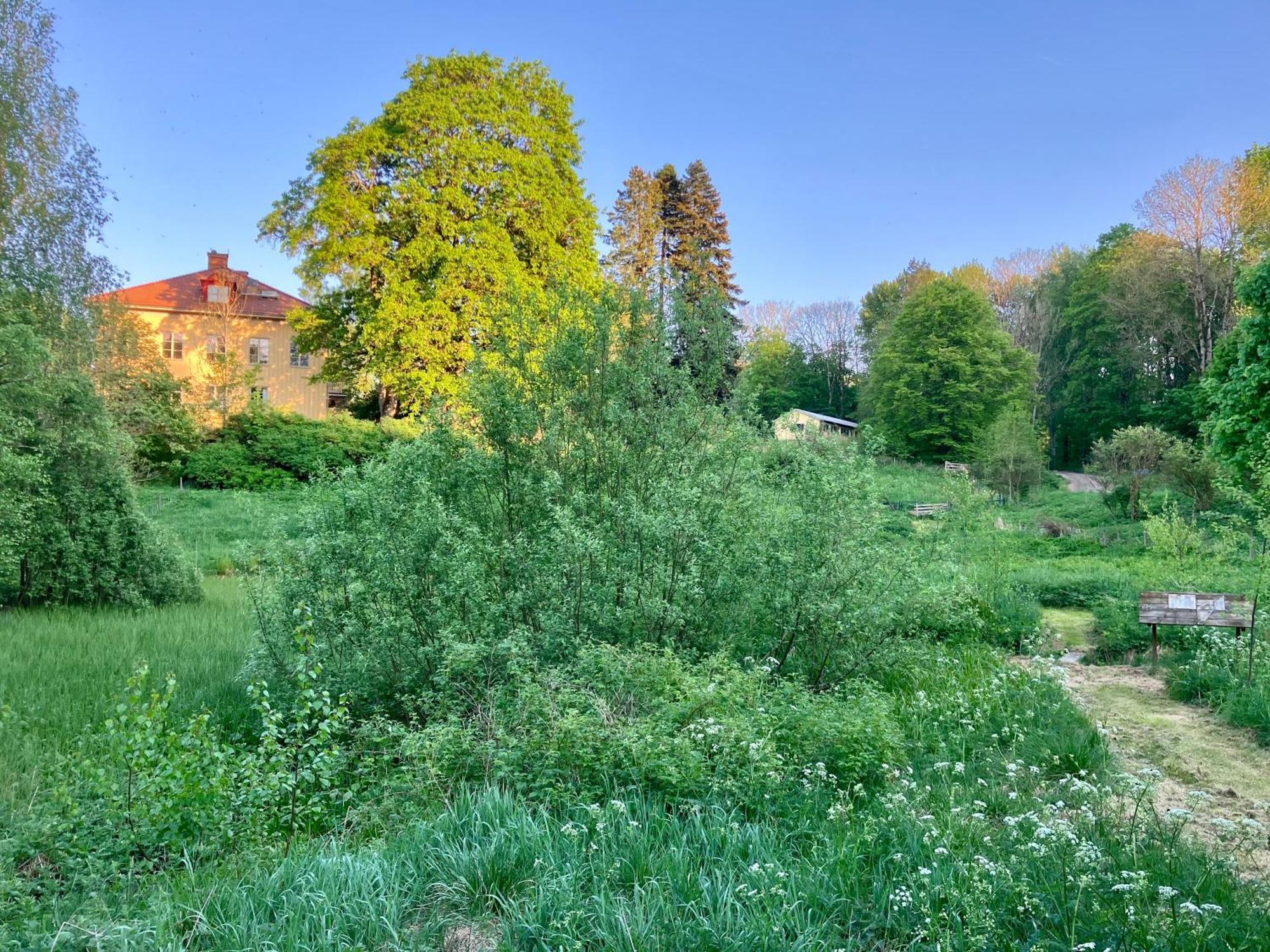 Lidhem Herrgard. Bed & Breakfast Och Mindre Lagenheter Vimmerby Dış mekan fotoğraf