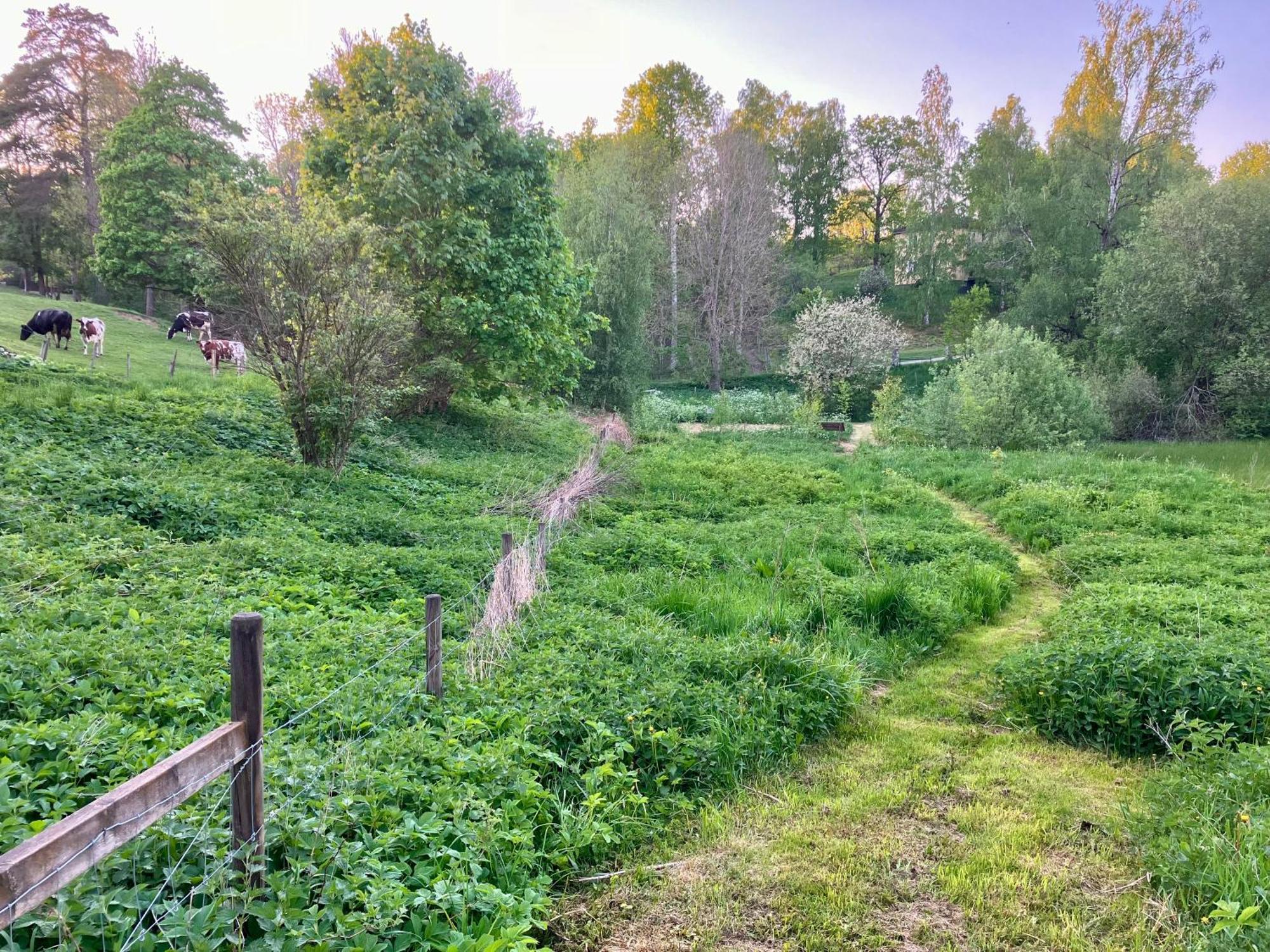 Lidhem Herrgard. Bed & Breakfast Och Mindre Lagenheter Vimmerby Dış mekan fotoğraf