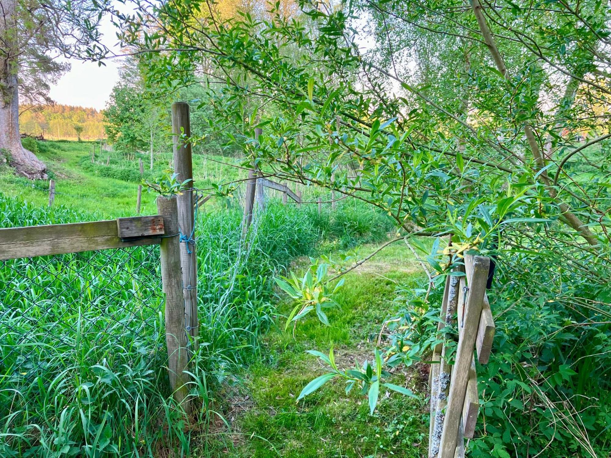 Lidhem Herrgard. Bed & Breakfast Och Mindre Lagenheter Vimmerby Dış mekan fotoğraf