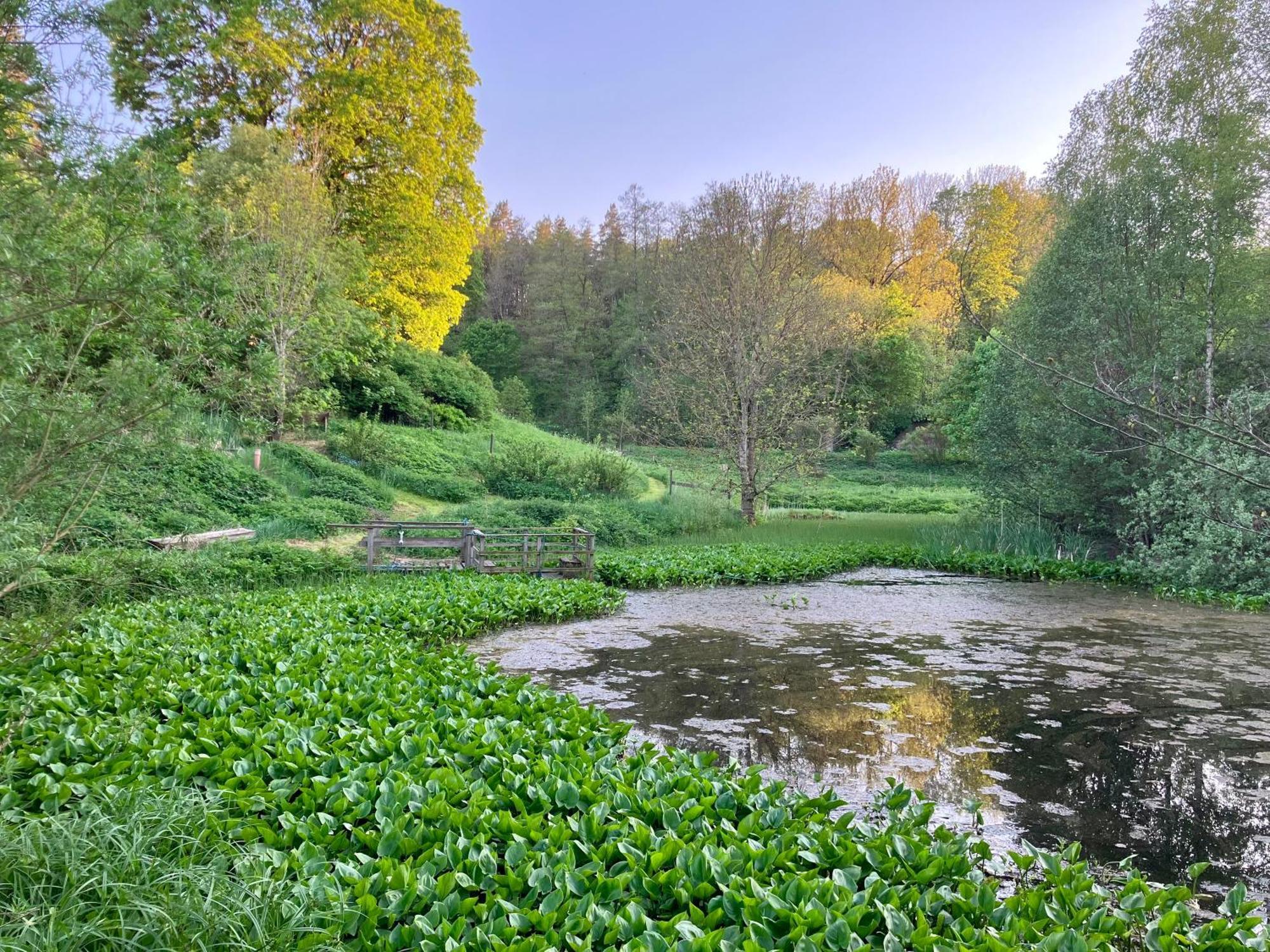 Lidhem Herrgard. Bed & Breakfast Och Mindre Lagenheter Vimmerby Dış mekan fotoğraf