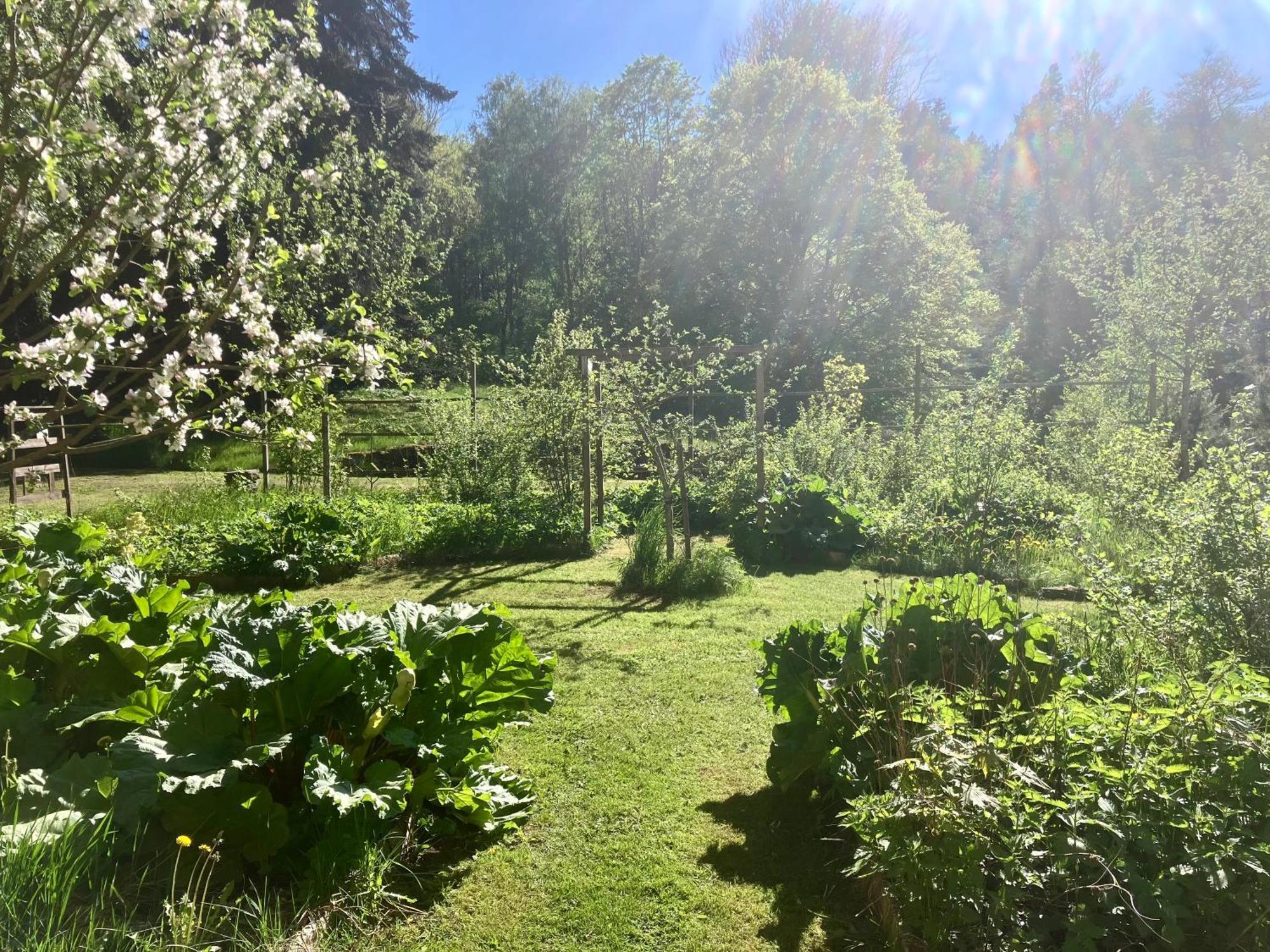 Lidhem Herrgard. Bed & Breakfast Och Mindre Lagenheter Vimmerby Dış mekan fotoğraf