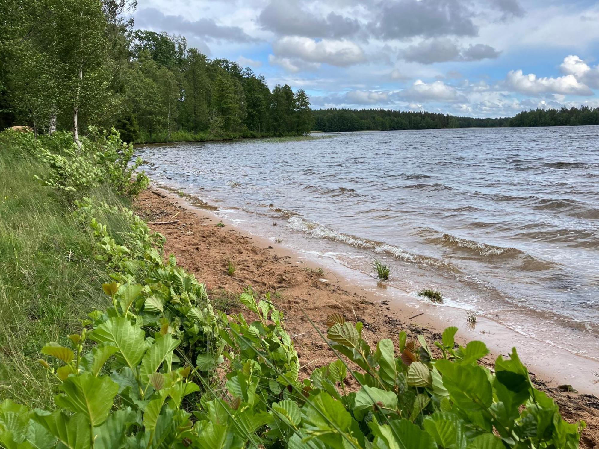 Lidhem Herrgard. Bed & Breakfast Och Mindre Laegenheter Vimmerby Dış mekan fotoğraf